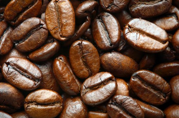 دانه های قهوه کلوزآپ ماکرو