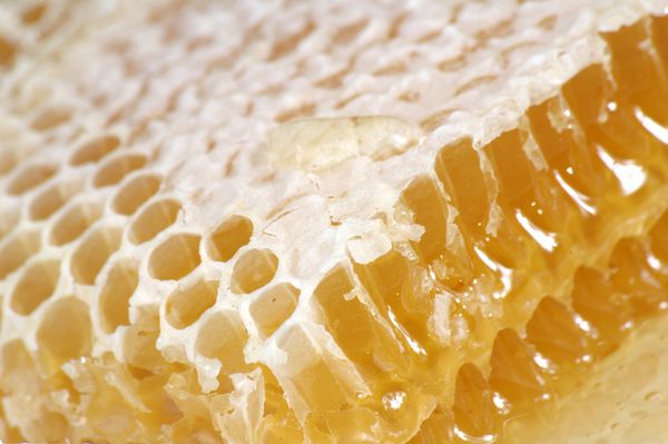 عسل در لانه زنبوری