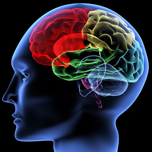 اسکن مغز انسان توسط اشعه ایکس