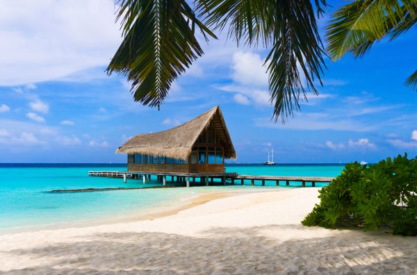 باشگاه غواصی در یک جزیره گرمسیری پس زمینه سفر