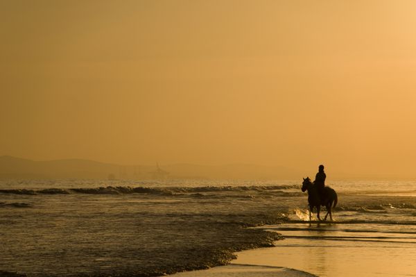 اسب سوار در ساحل هنگام غروب آفتاب