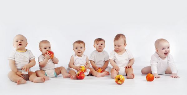 گروهی از نوزادان با سیب هایی که روی پس زمینه سفید استودیو نشسته اند