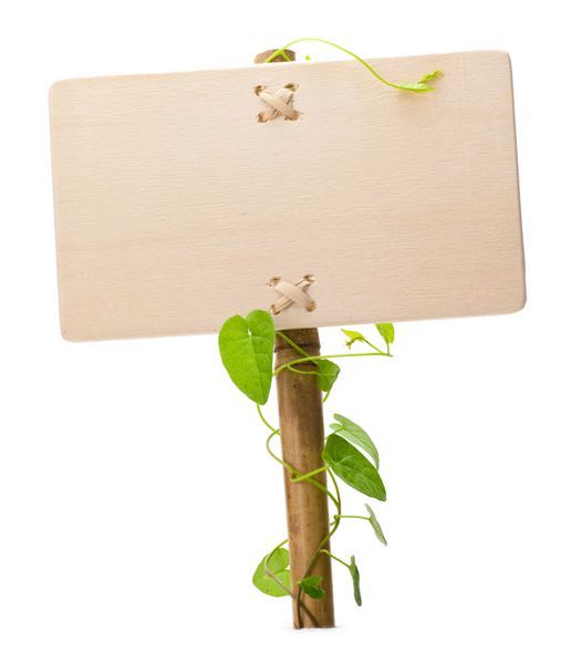 علامت خالی برای پیام روی پانل چوبی و گیاه سبز - تصویر بر روی پس زمینه سفید جدا شده است