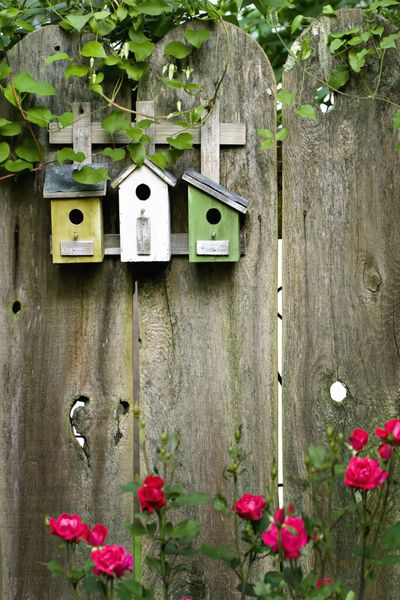 سه خانه پرنده روی حصار چوبی قدیمی
