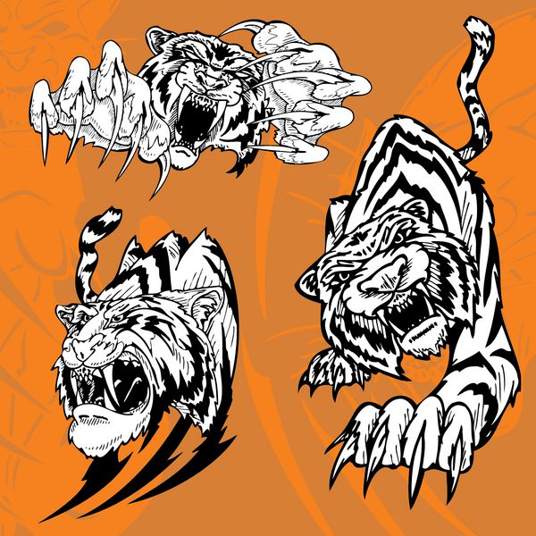 Tiger Predators Vec tor Illustration Vinyl Ready