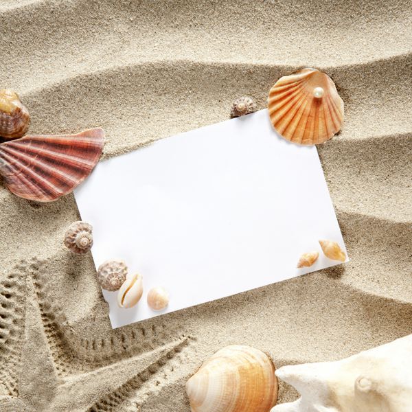 کاغذ خالی کپی اسپیس روی ستاره‌های دریایی تابستانی شن و ماسه سفید ساحل و صدف‌ها