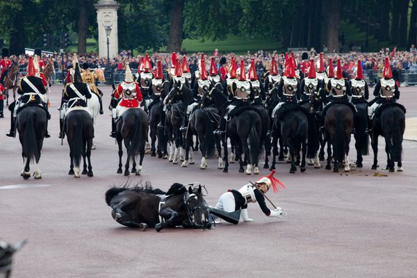 لندن - 11 ژوئن نگهبان اسب سلطنتی در مراسم Trooping the Color در لندن انگلستان در 11 ژوئن 2011 از اسب سقوط کرد این مراسم توسط هنگ ها به مناسبت تولد رسمی ملکه انجام می شود