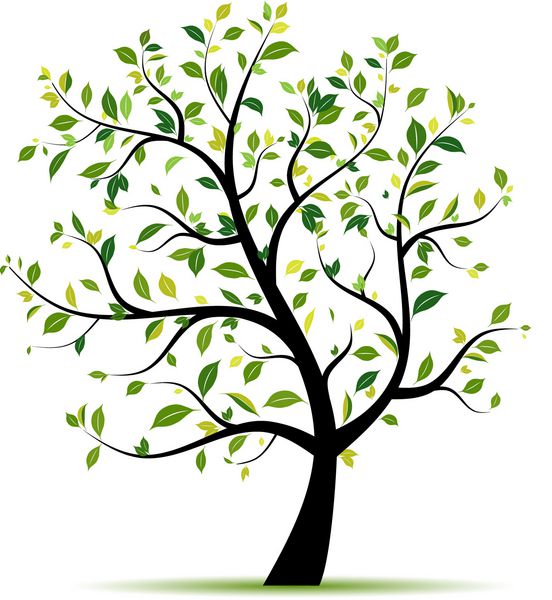 سبز درخت بهاری برای طرح شما