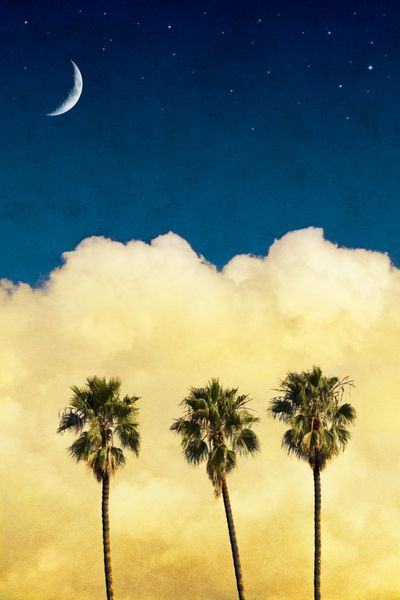 سه درخت خرما با ابرهای زرد و آسمان شب با هلال ماه و ستاره تصویر دارای پس‌زمینه کاغذ بافت قدیمی است