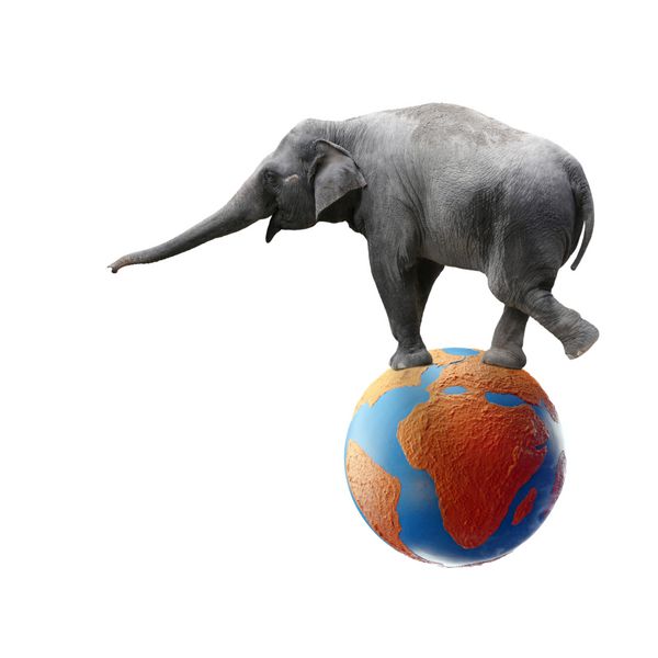فیل خنده‌داری که خرطوم خود را دراز می‌کند در حالی که بر روی کره‌ای رنگارنگ که قاره آفریقا را جدا از سفیدی نشان می‌دهد تعادل برقرار می‌کند