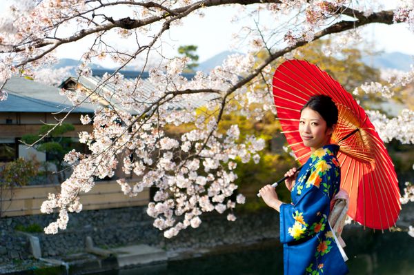 پرتره ای از زن کیمونوی ژاپنی و شکوفه های گیلاس