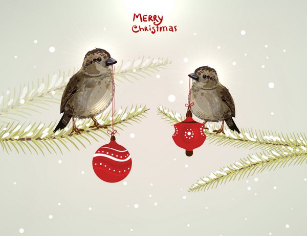 دو پرنده کارتونی خنده دار با توپ های کریسمس روی شاخه درخت صنوبر