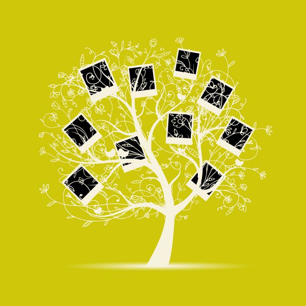 طراحی درخت خانواده عکس های خود را در قاب قرار دهید