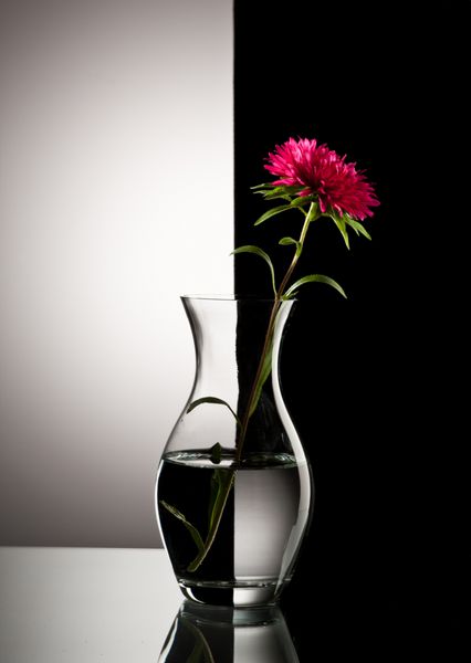 گل قرمز در گلدان روی پس زمینه سیاه و سفید
