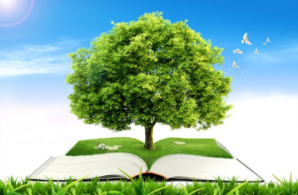 کتاب با درخت در زمینه طبیعی مفهوم آموزش و پرورش