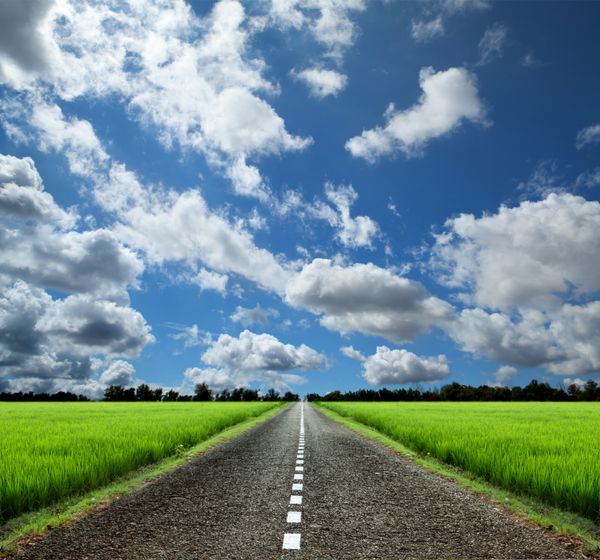 جاده آسفالته خالی در مزارع سبز
