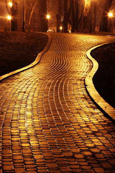 جاده به پارک ماریینسکی در شب