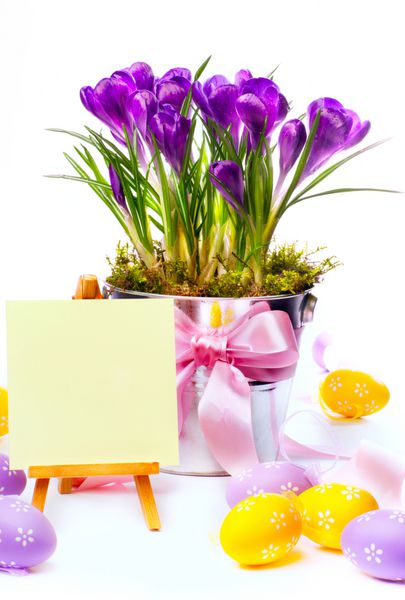 عید پاک مبارک تخم مرغ های رنگارنگ عید پاک و گل های بهاری