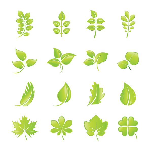 مجموعه ای از نمادهای برگ سبز
