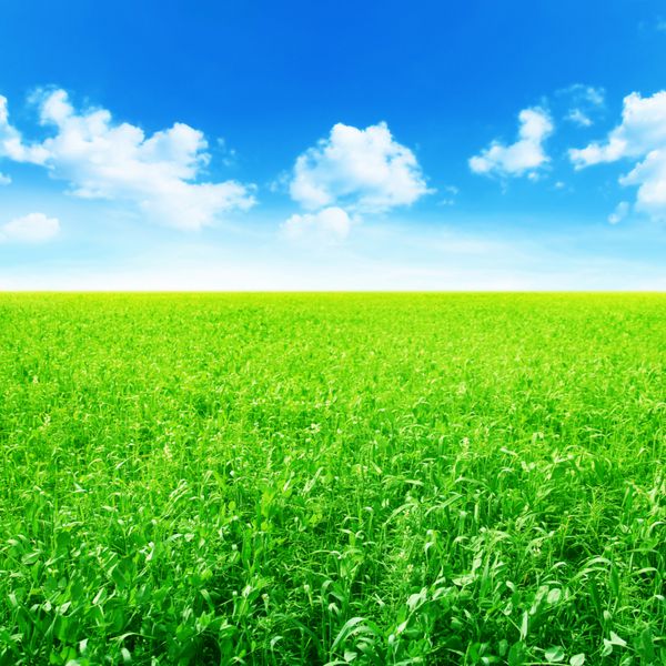 زمین کشاورزی سبز و آسمان آبی با ابرها