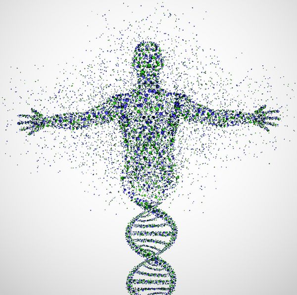 مدل انتزاعی انسان از مولکول DNA