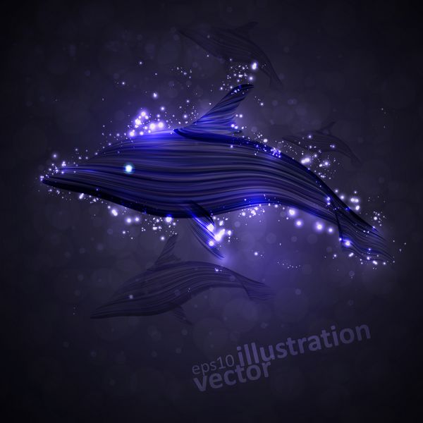 دلفین نئون نوار آینده نگر انتزاعی تصویر شیک