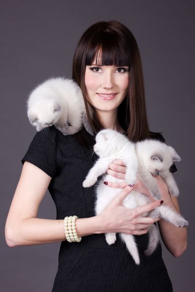 دختر زیبا که بچه گربه های سفید کوچک را در آغوش گرفته است