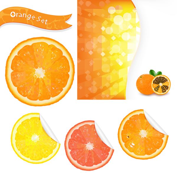 مجموعه نارنجی بزرگ جدا شده در پس زمینه سفید وکتور