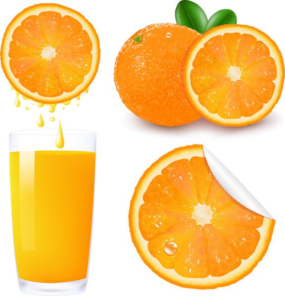 مجموعه میوه نارنجی جدا شده در پس زمینه سفید وکتور