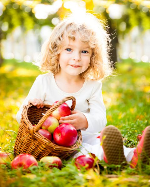 کودک خندان با سبدی از سیب های قرمز که روی برگ های زرد در پارک پاییز نشسته است
