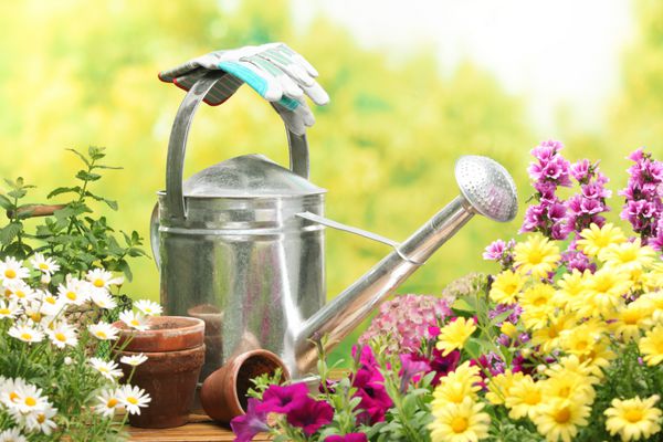 ابزار باغبانی در فضای باز و گل