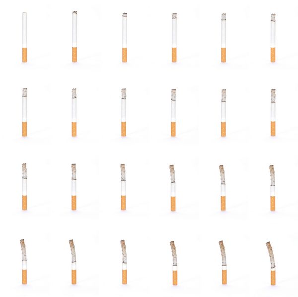 مونتاژ سیگار در مراحل مختلف سوختگی هر کدام روی سفید جدا شده اند