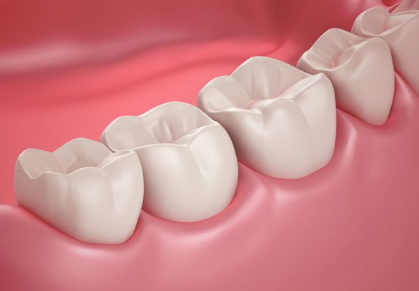 تصویر سه بعدی دندان یا دندان نزدیک