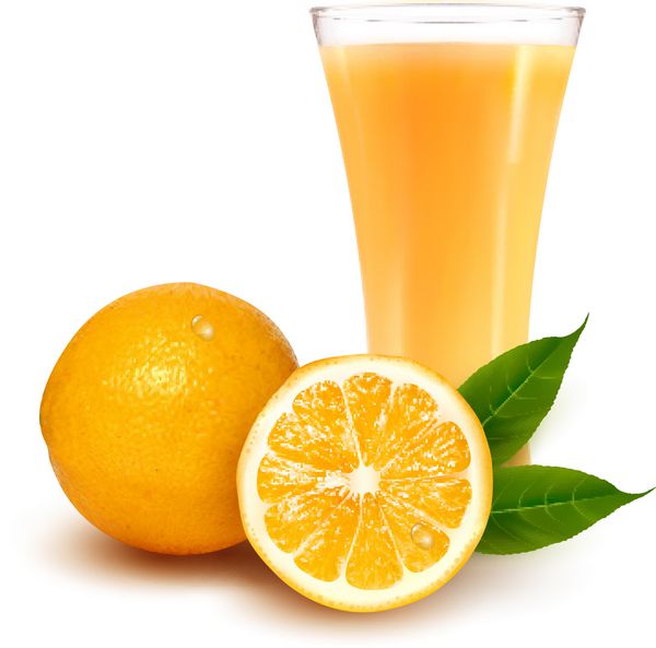پرتقال تازه و لیوان با آب وکتور