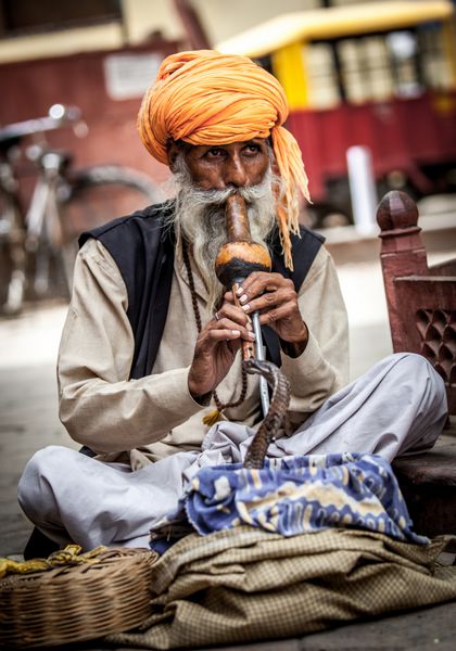 عکس افسونگر مار خیابانی هند