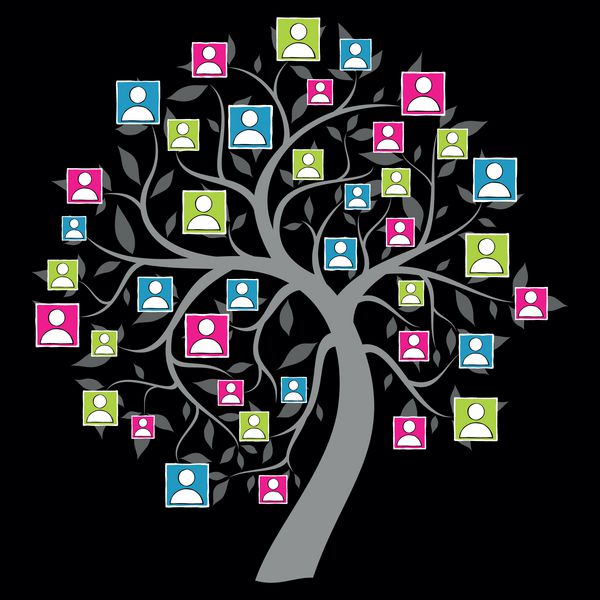 درخت شبکه اجتماعی