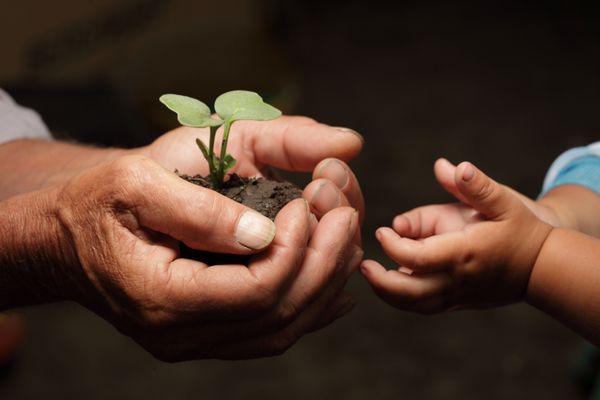 پدربزرگ به نوه اش میکروب می دهد