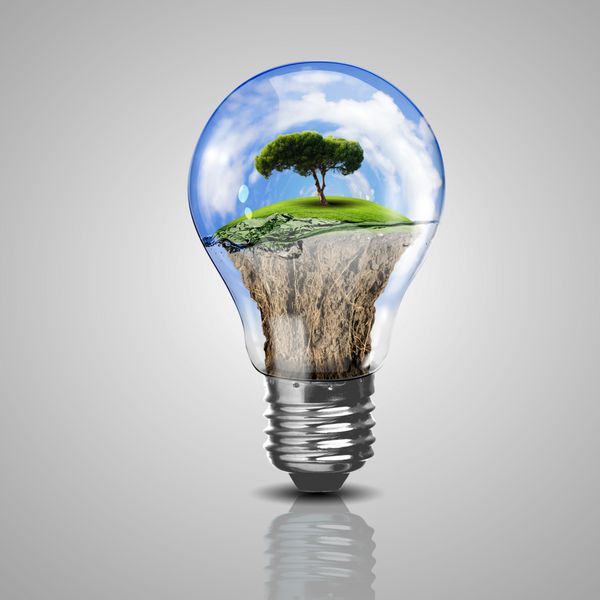 لامپ برق و یک گیاه درون آن به عنوان نماد انرژی سبز