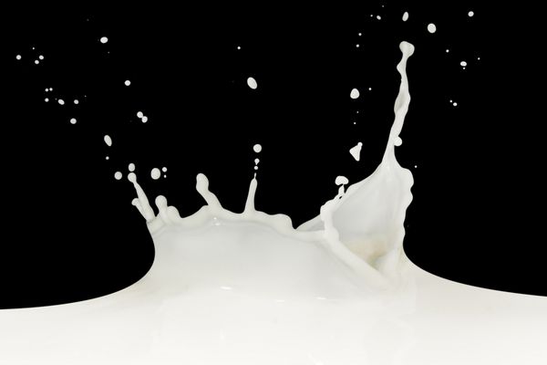 پاشیدن شیر جدا شده در پس زمینه سیاه