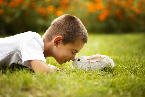 پسر بچه با خرگوش