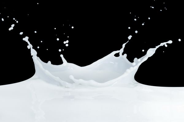 پاشیدن شیر جدا شده در پس زمینه سیاه