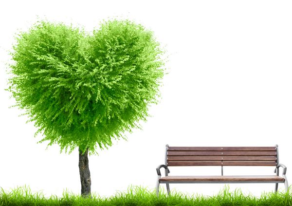 شکل قلب چمن سبز و درخت و نیمکت روی پس‌زمینه سفید با جای متن مفهوم روز ولنتاین
