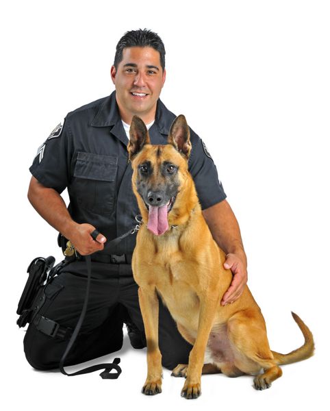 پرتره یک پلیس و سگ پلیس او جدا شده در پس زمینه سفید