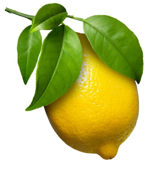 لیموی تازه جدا شده روی سفید