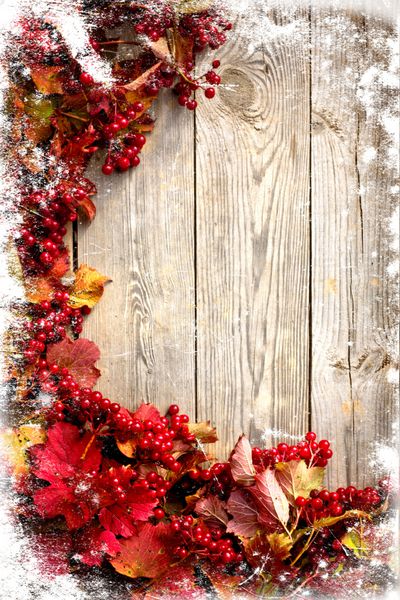 قاب پاییزی از برگ های خاکستر و افرا روی صفحات چوبی با بافت گرانج