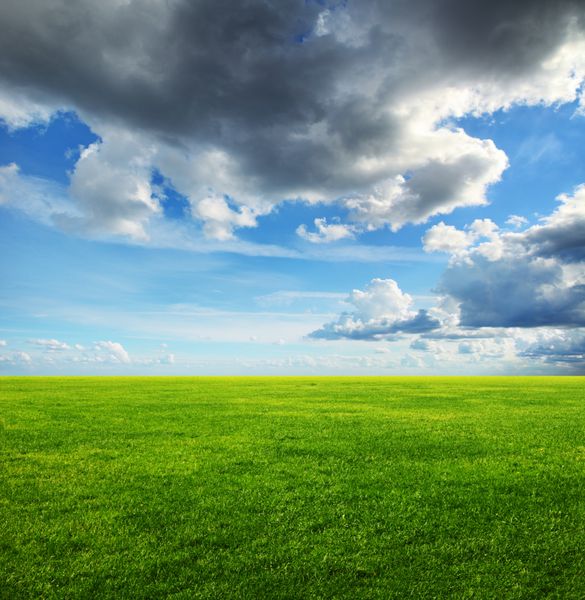 تصویر زمین چمن سبز و ابرهای سنگین در آسمان