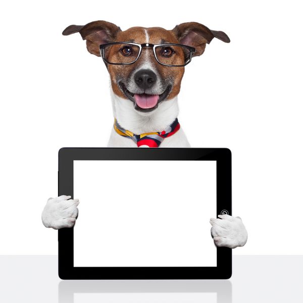 نوت بوک کامپیوتر تبلت سگ تجاری pc ebook