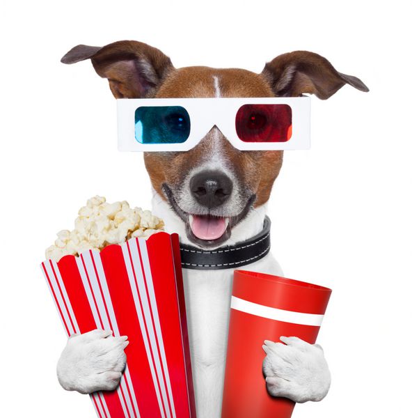 فیلم عینک 3 بعدی سگ پاپ کورن در حال تماشای فیلم