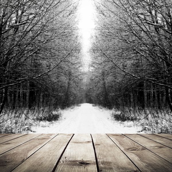 مسیر زمستانی در جنگل با زمینه کف تخته چوب