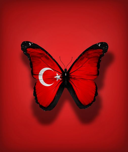 پروانه پرچم ترکیه جدا شده در پس زمینه پرچم